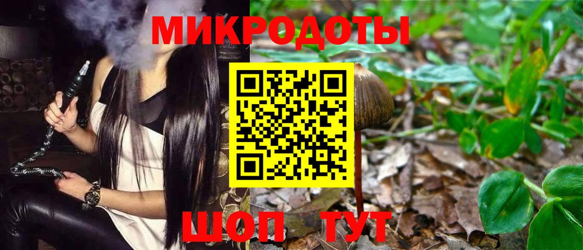 Галлюциногенные грибы ЛСД Богданович
