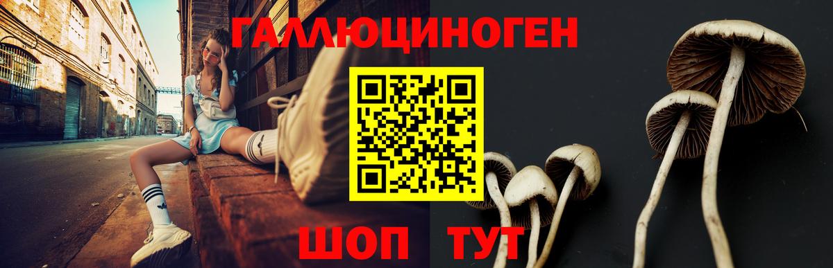 Богданович  Псилоцибиновые грибы прущие грибы  Псилоцибиновые грибы ЛСД  Вход с VPN 
